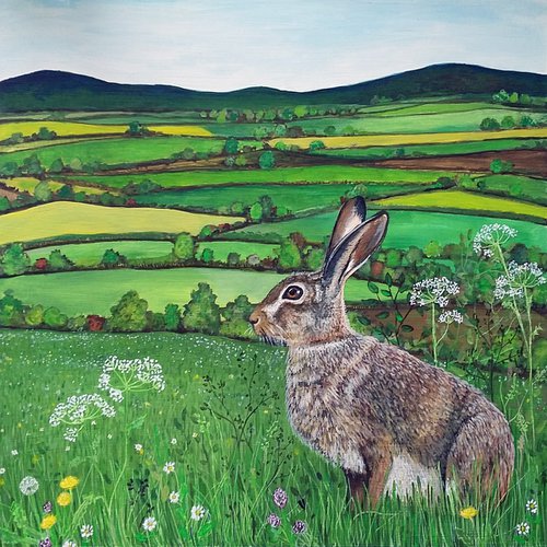 Hare's meadow by Carolynne Coulson