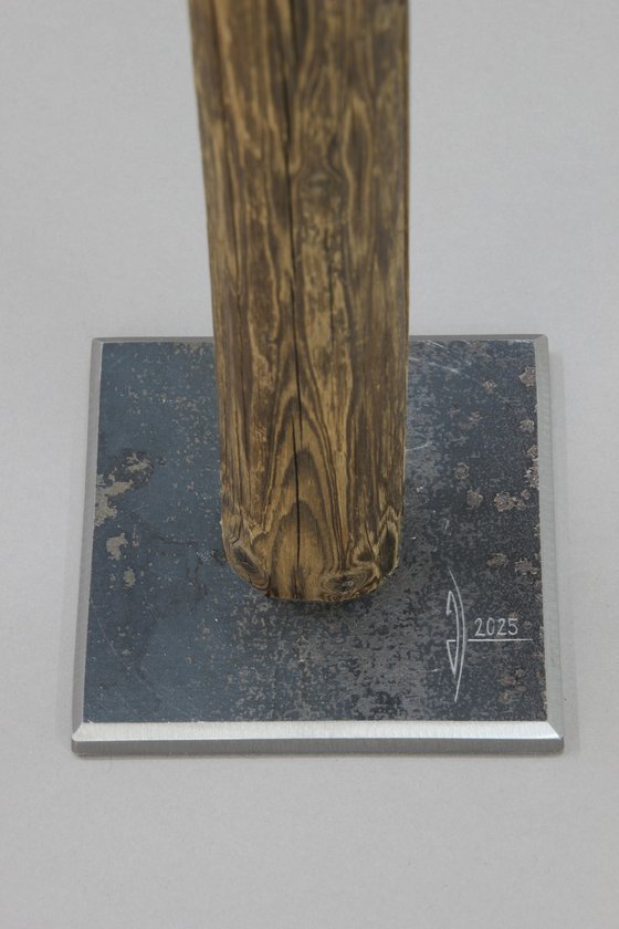 human nails XIX