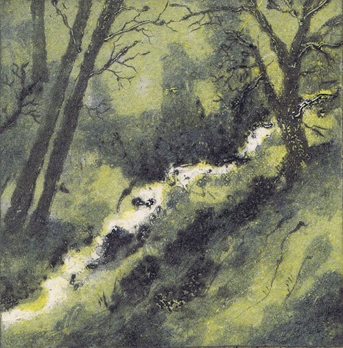 Woodland Stream by Aidan Flanagan Irish Landscapes