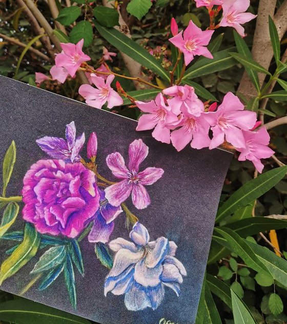 Oleander.  24x18 cm. Plein Air. Oleandro