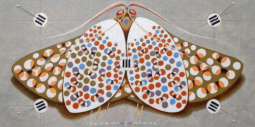 Chromatic butterfly - white by Federico Cortese