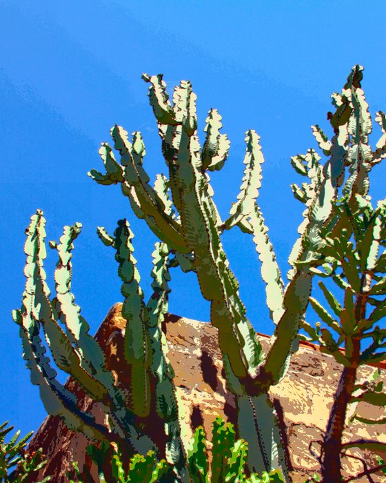 REACH FOR SKY Coachella Valley CA