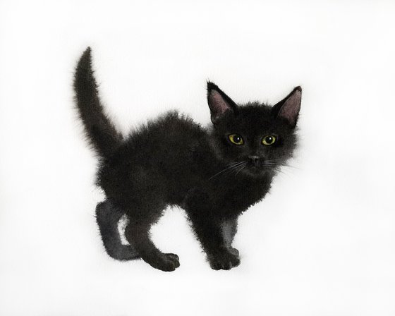 Black Kitten Cute Kitty