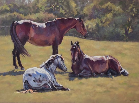 Chilling Out - Three Horses