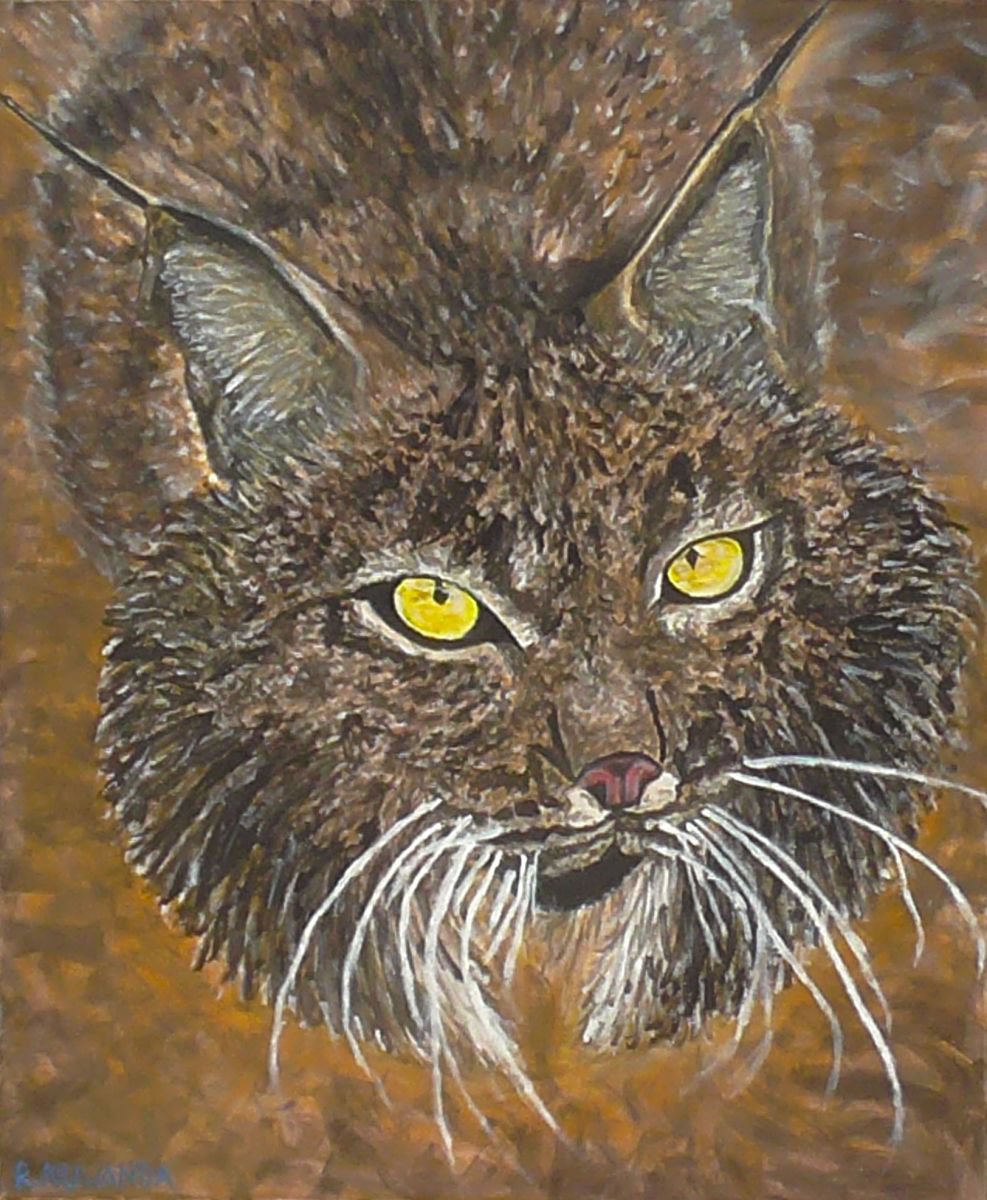 Iberian Lynx by Robbie Potter