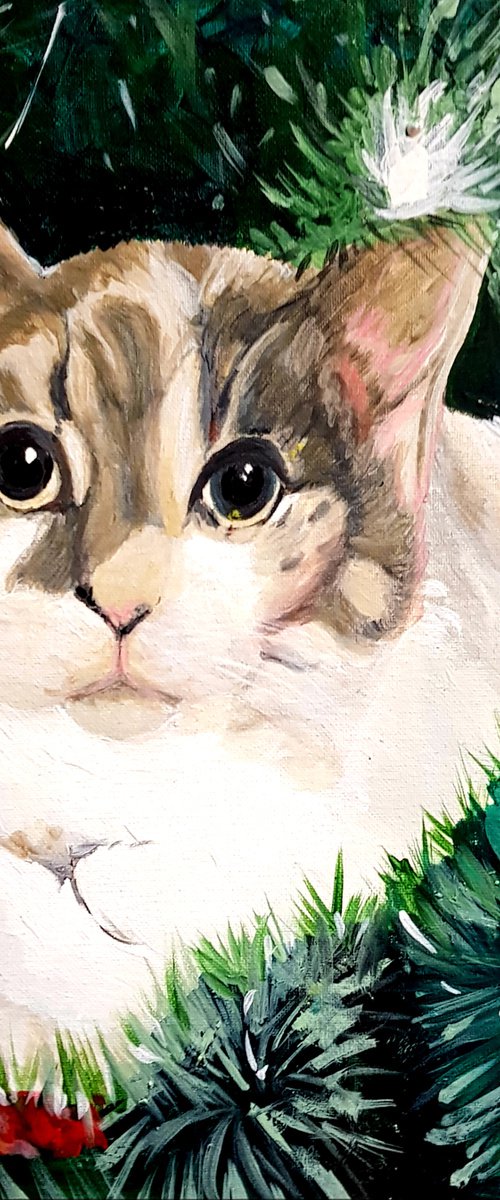 Coco in a Christmas Tree by Sally Burrow