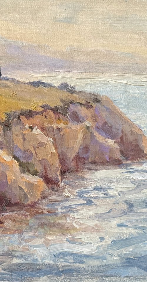 Coastal View From the Bluffs by Tatyana Fogarty