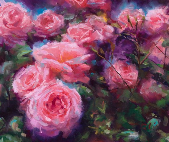 Out of Dust - impressionist pink roses in full sun