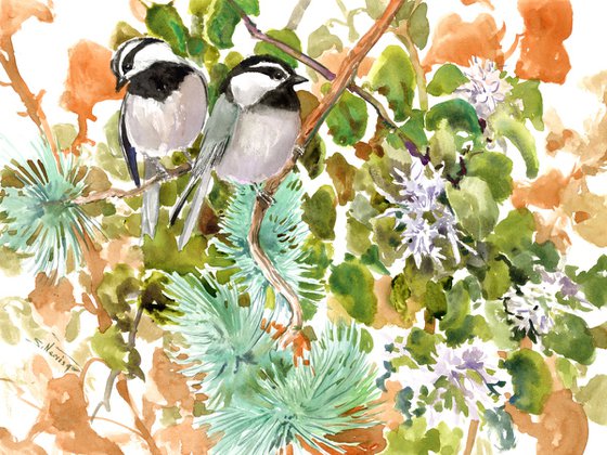 Mountain Chickadees