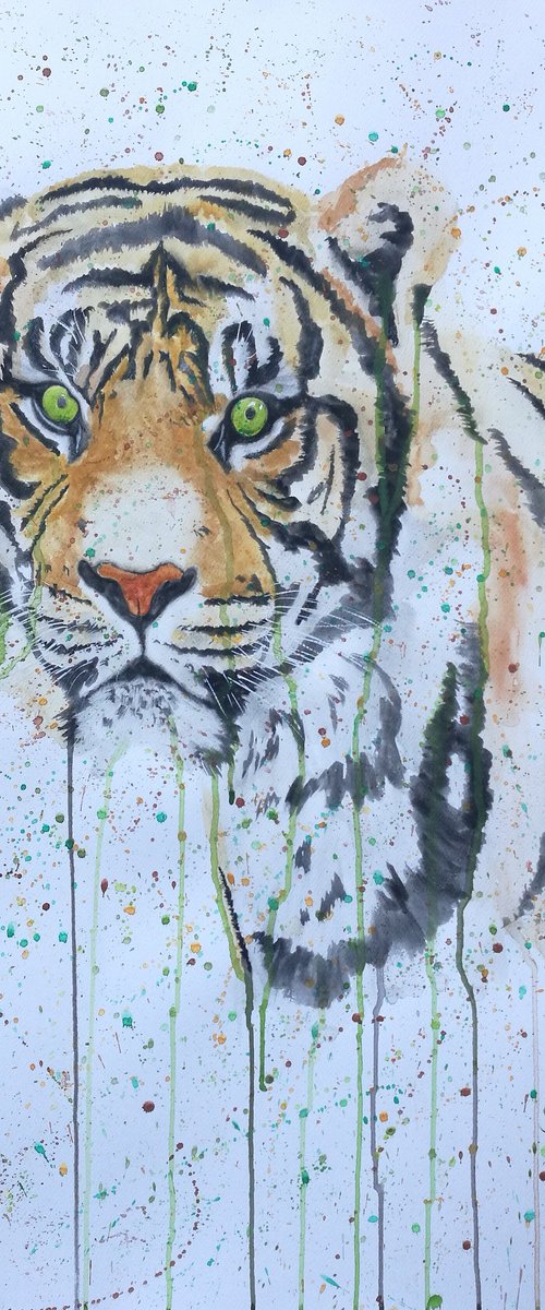 Green Eyed Tiger. A1 sized paper. Free Worldwide Shipping. by Steven Shaw