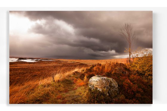 Burnished Horizons