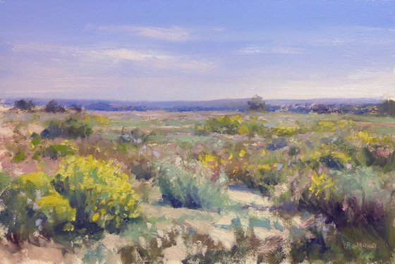 Landscape in Camargue