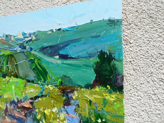 "  Vineyards "