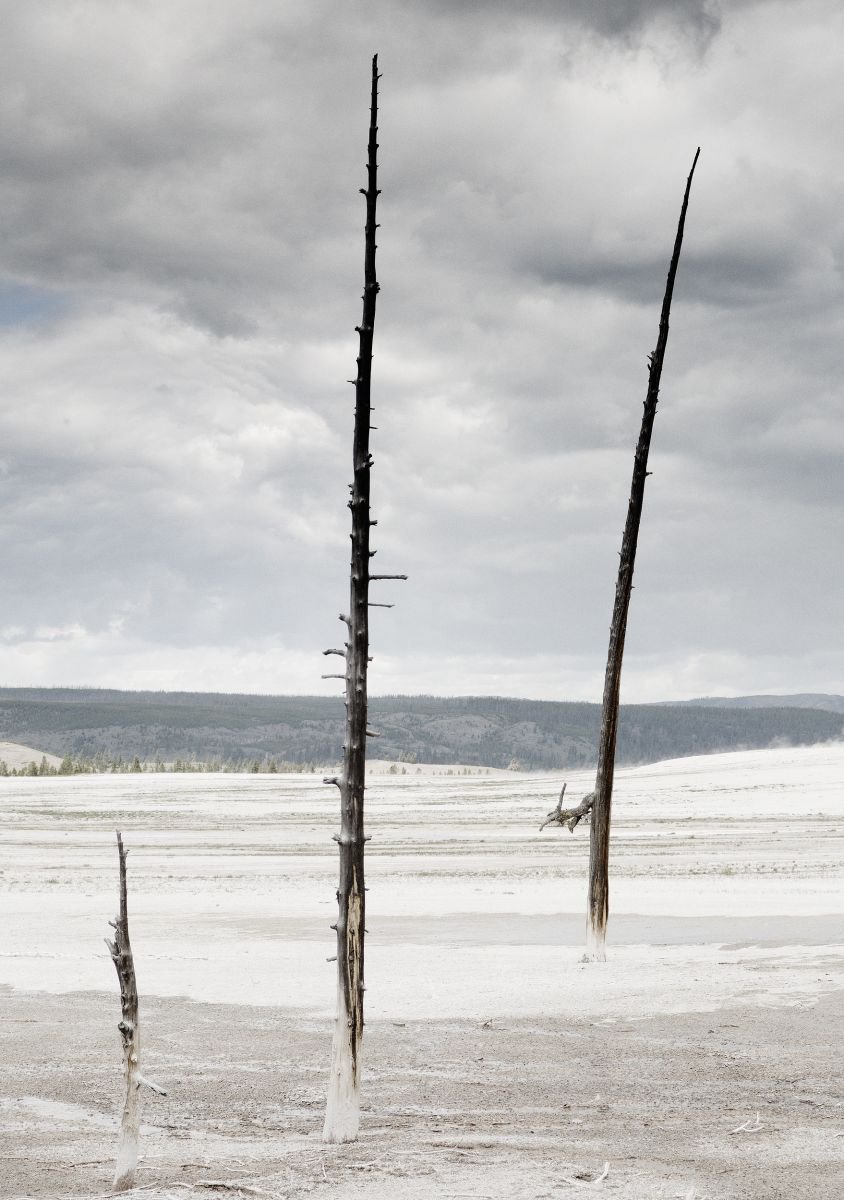 Photorealistic Photograph , Desolation By Tom Hanslien, 33 X 47, Artwork For Sale On Artfinder