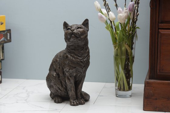 Sitting Cat BR