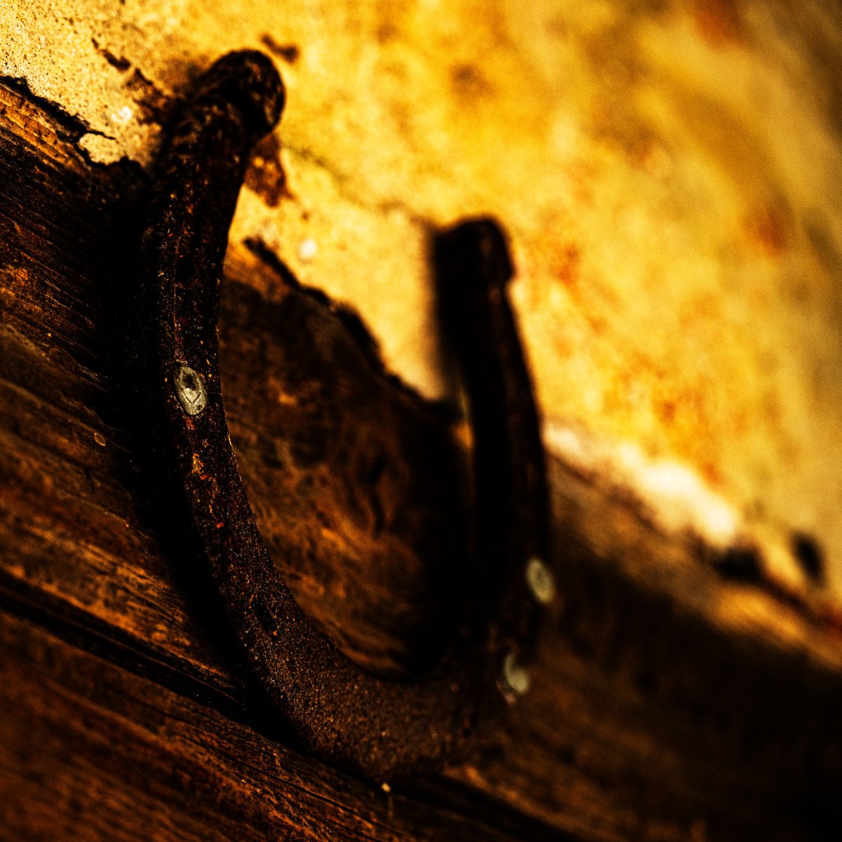 Abstract Photograph By David Huntzinger, 24 X 17, Weathered Fortune, Original Artwork