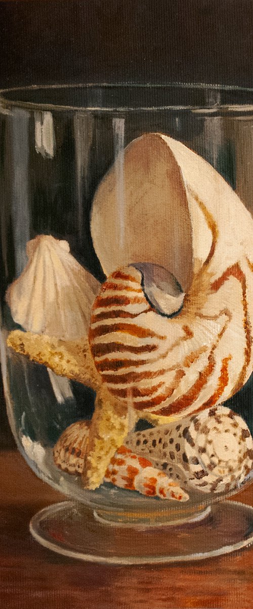 Seashells In a Glass Vase by Nikola Ivanovic