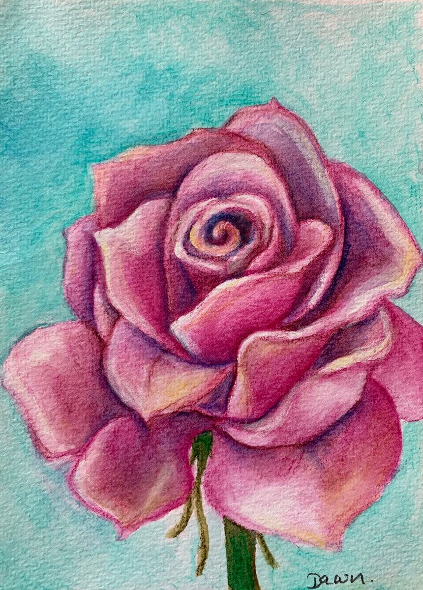 Pink Rose by Dawn Rodger