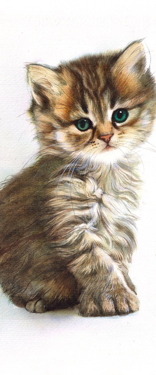 Kitten I by REME Jr.
