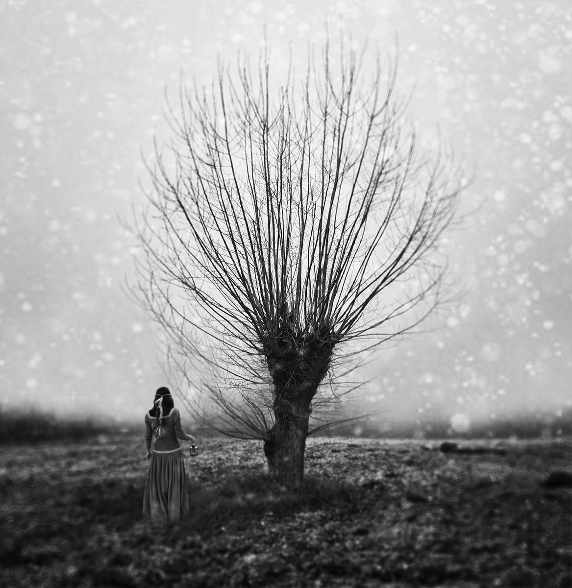 Winter Time by Carmelita Iezzi