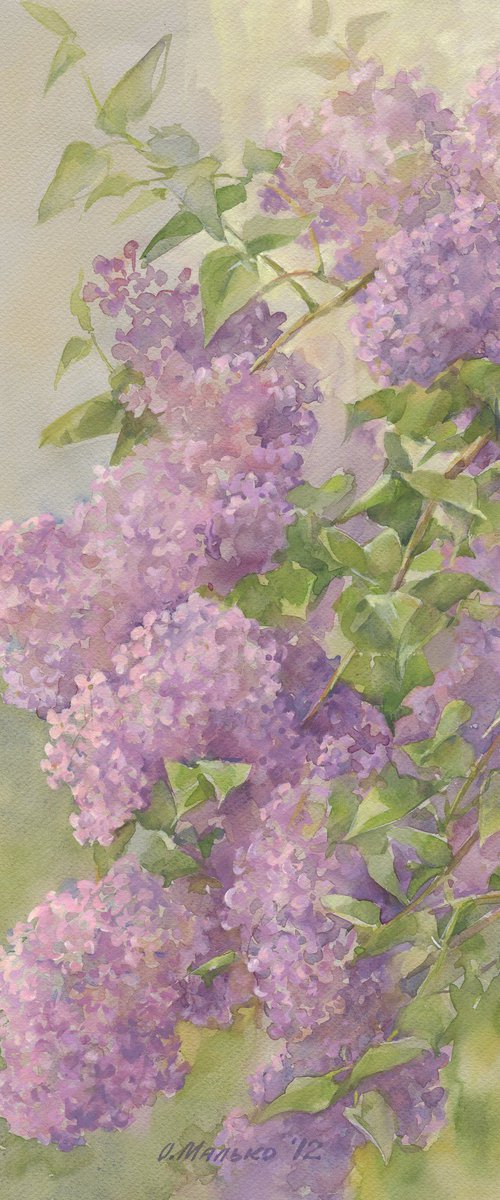 Branches of a lilac by Olha Malko