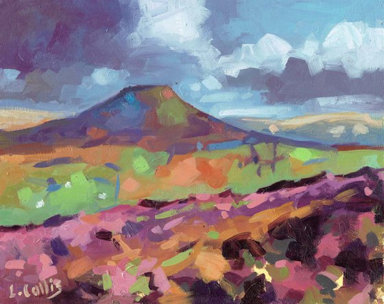 Sugarloaf with Pink Heather