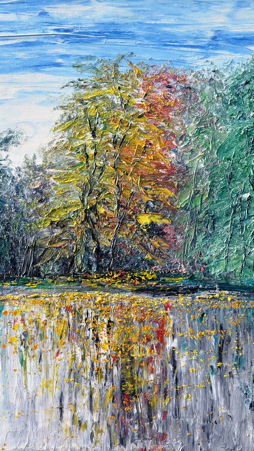 Pond in The Grand Zálužie - Slovakia by Daniel Urbaník
