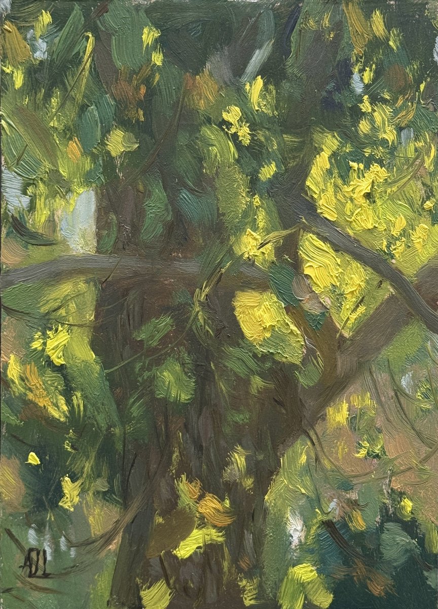 Impressionistic Botanical Oil Painting By Alex James Long, 5 X 7, Sunlight Through A Walnut Tree, Original Artwork