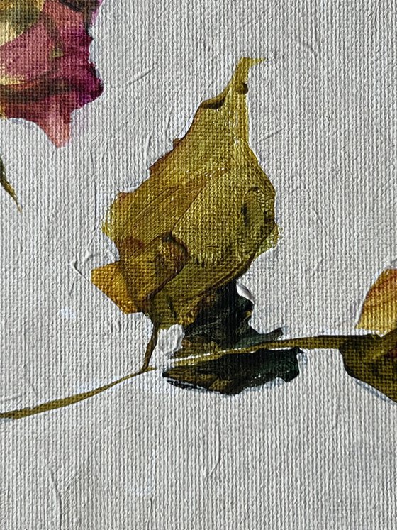 Withered rose 1