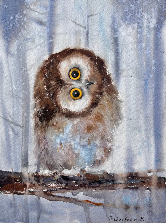 Owlet in the winter forest