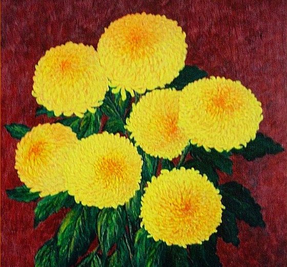 Yellow chrysanthemums ..