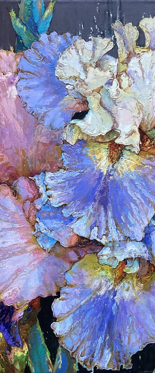 Irises by Andriy Vutyanov