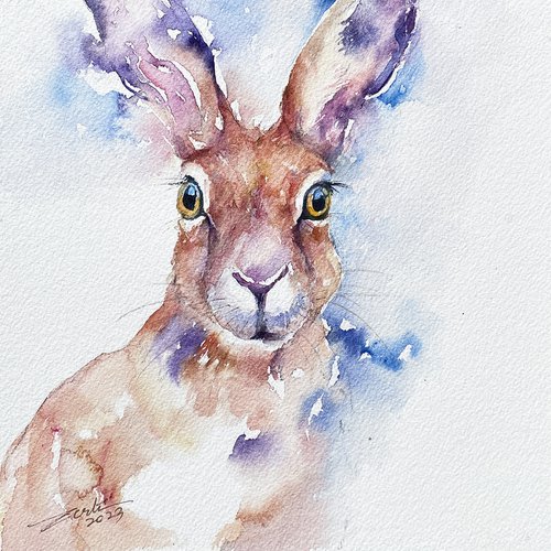 Spring Hare_Tullio by Arti Chauhan