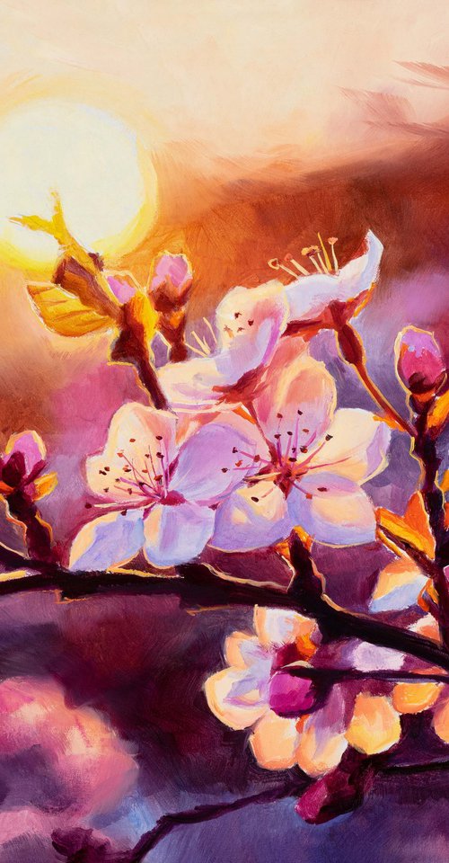 Pink cherry blossoms in sunset light by Lucia Verdejo