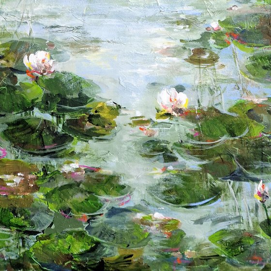 Water Lilies On The Shore