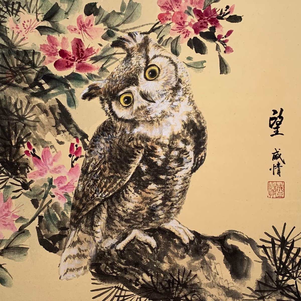 Owl, Original Gongbi Brush Painting by Fiona Sheng