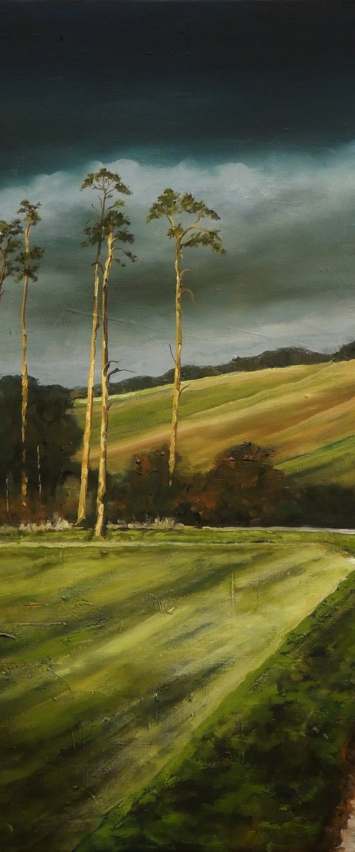 country road by Malcolm Macdonald
