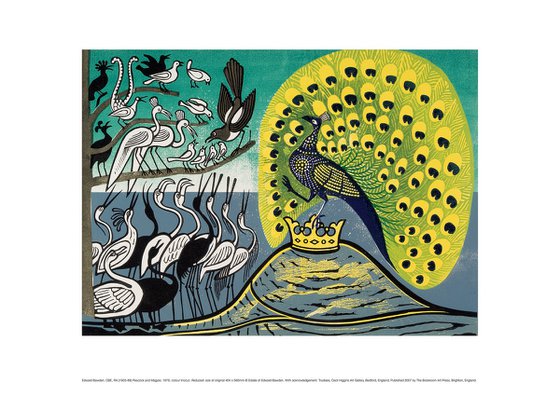 Peacock and Magpie