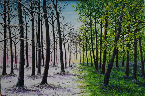 Winter To Spring In The Woods by Hazel Thomson