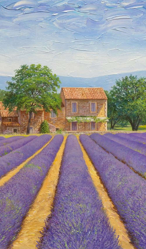 Sunny Provence by Eduard Zhaldak