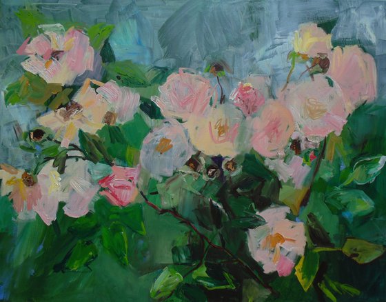 garden roses