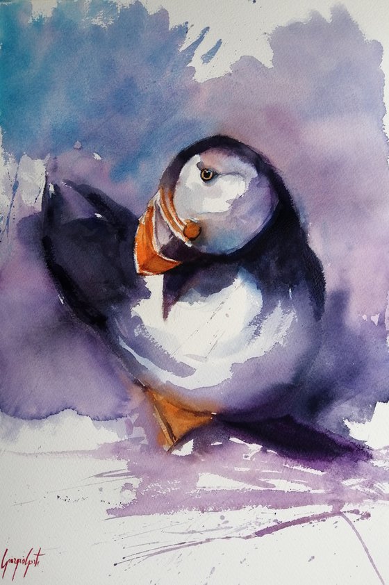 puffin