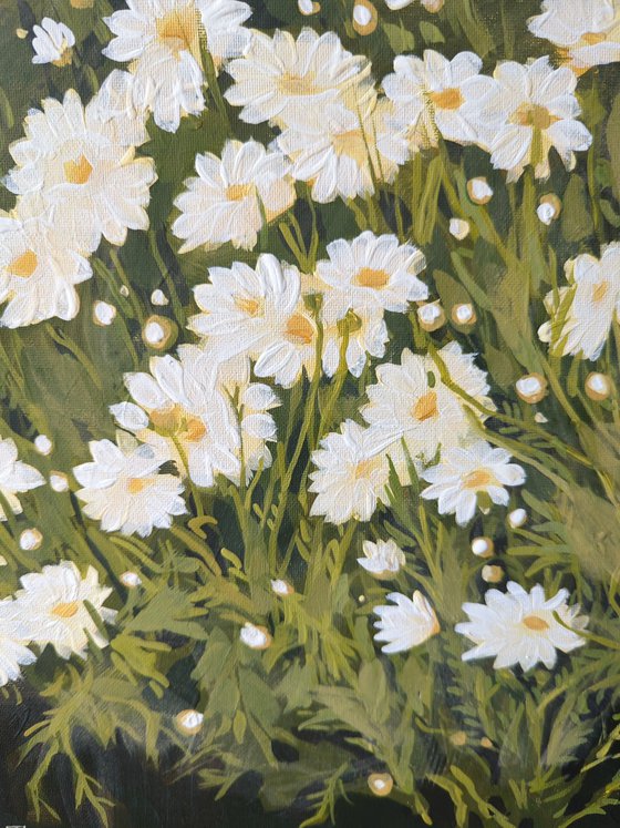 Daisies, "Moments" series