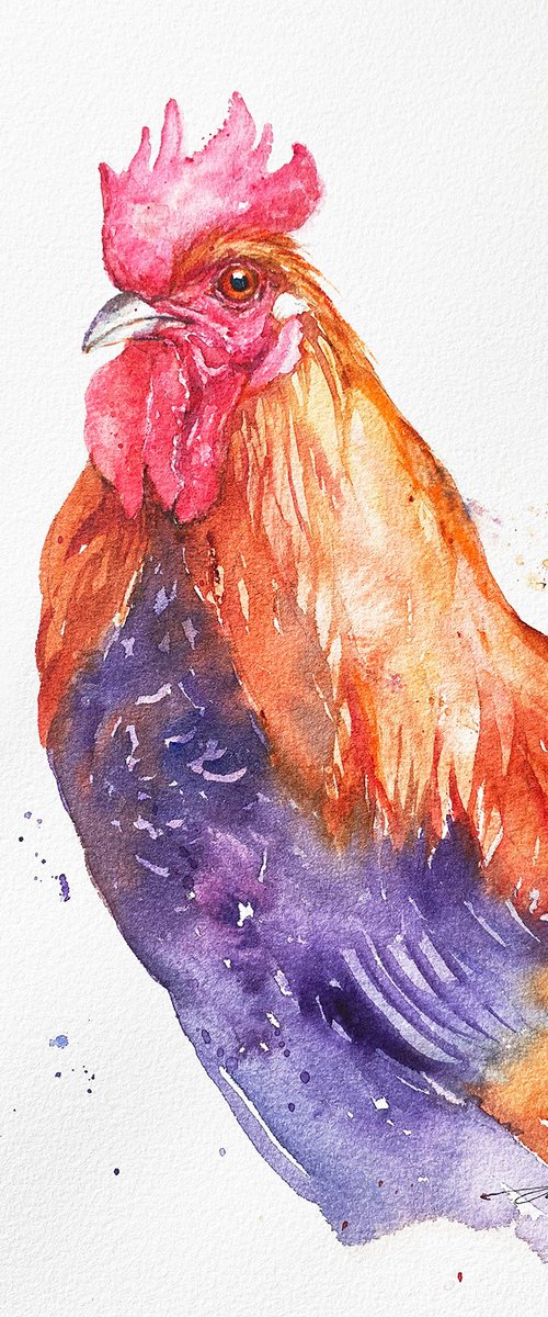 Rooster Roxy by Arti Chauhan