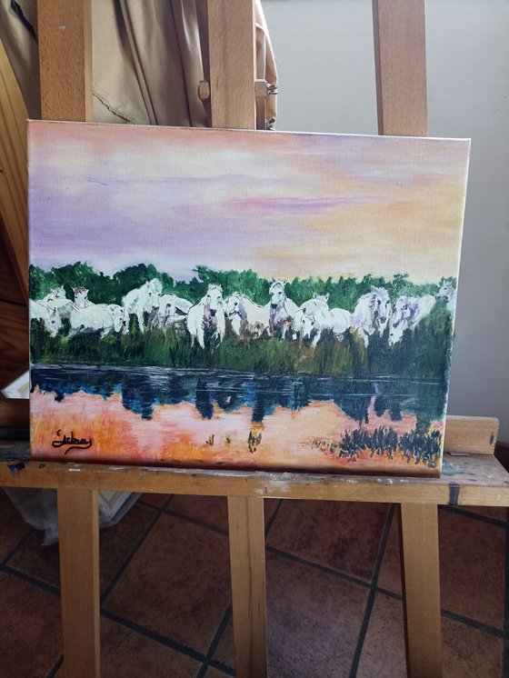 White horses and reflections