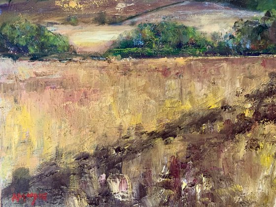 Howardian Landscape