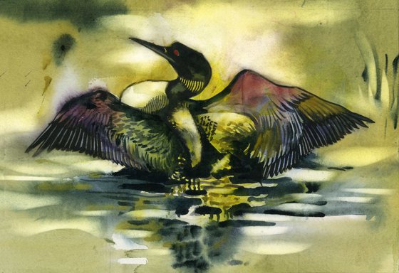 loon watercolor