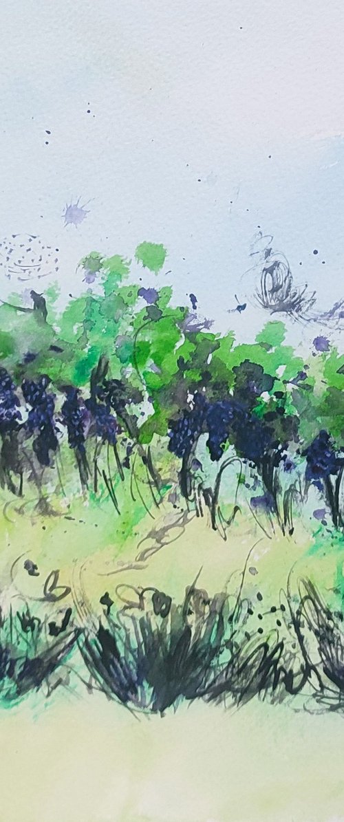 Les vignes - Watercolour by ÂME SAUVAGE