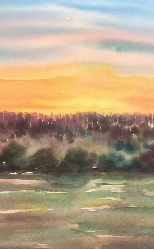 Slowley woods sunset, Exmoor by Samantha Adams