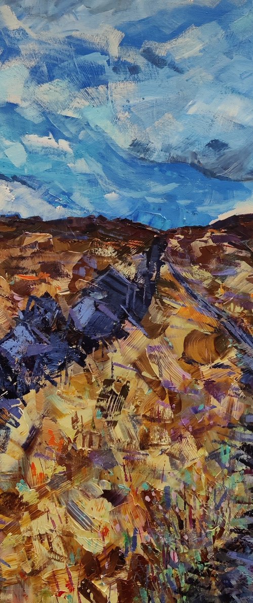 Winter Hill Walk by Julia Preston